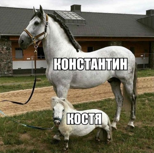 Немного юмора не помешает!