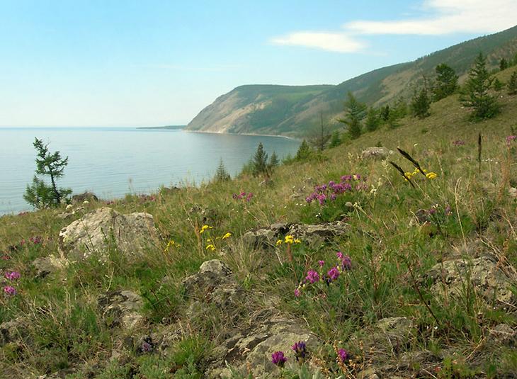 Горная степь