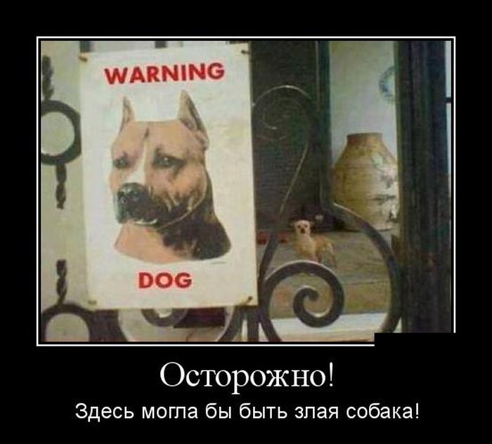 Демотиваторы Демотиваторы