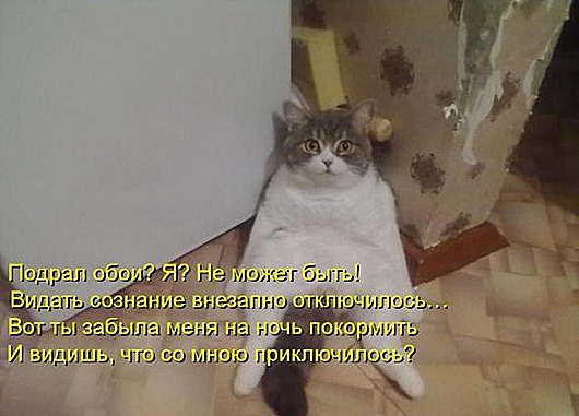 f9c7e532631614ef63db7fc37be_prev