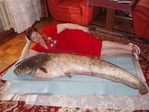 Несколько снимков с сайтов знакомств. Любуемся этими шедеврами фотоискусства))) Несколько снимков с сайтов знакомств. Любуемся этими шедеврами фотоискусства)))
