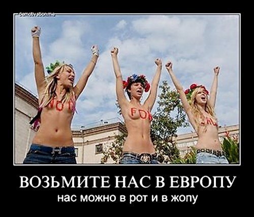 5fd665e3351d.jpg