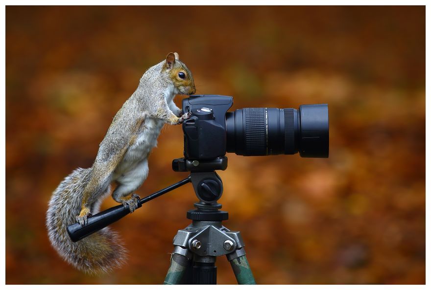 Фотограф