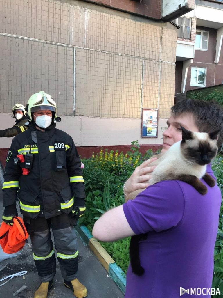 Сотрудники пожарно-спасательного отряда из Некрасовки спасли кошку в Выхине-Жулебине