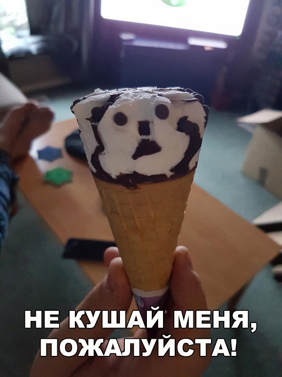 Смешные картинки с надписями для поднятия настроения (11 фото) Смешные картинки с надписями для поднятия настроения (11 фото)