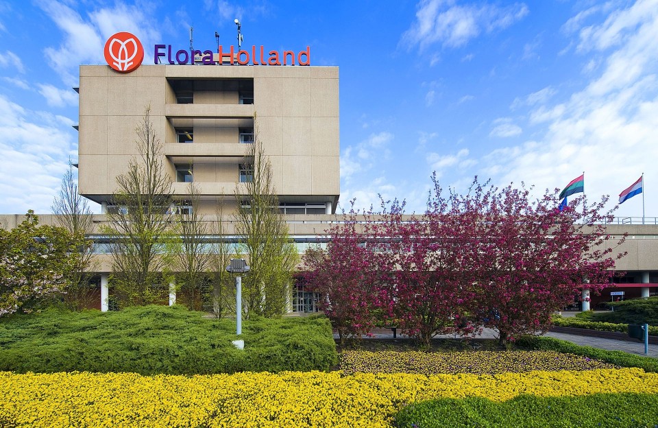 | NewsInPhoto.ru Новости и репортажи в фотографияхГолландский цветочный аукцион FloraHolland (9)