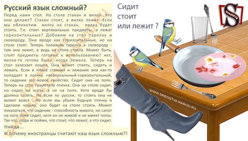 Сидит, стоит или лежит? Почему иностранцы считают Русский язык сложным (1 фото)