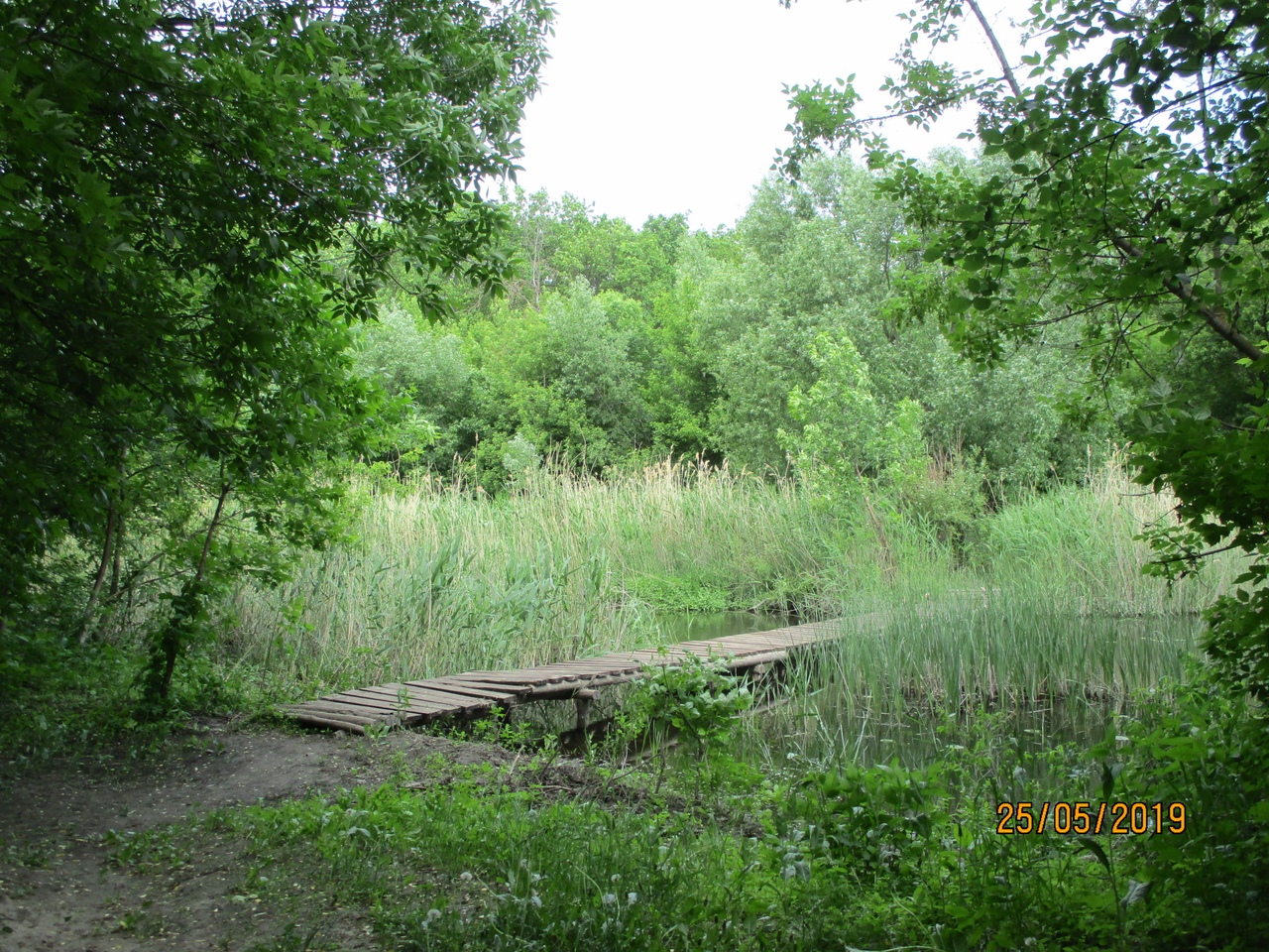 Природа России 35