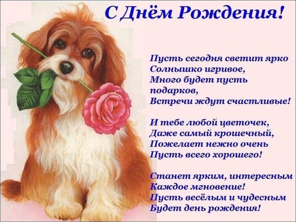 Стих с днем рождения магазин Стих с днем рождения магазин