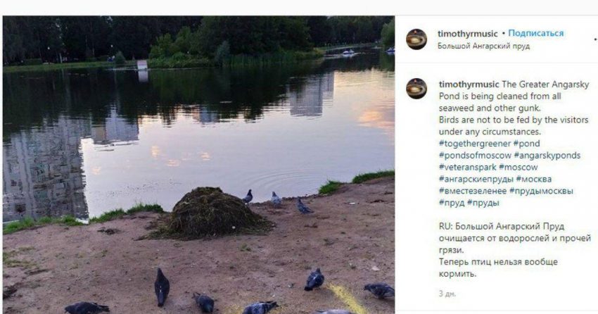 Большой Ангарский пруд чистят от водорослей