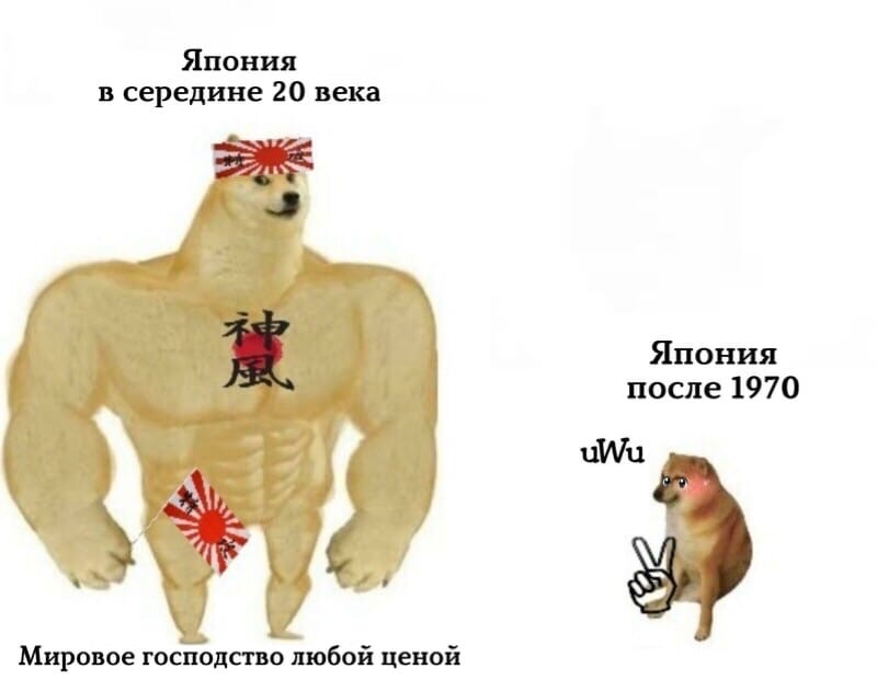 Накачанный Доге и плачущий Чимс: Что за мем?