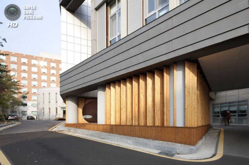 студент, отдых