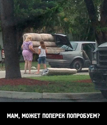 Они никогда не сдаются Они никогда не сдаются прикол, юмор