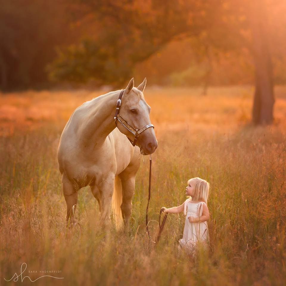 ФОТОВЫСТАВКА. Душевные портреты Sara Hadenfeldt ФОТОВЫСТАВКА. Душевные портреты Sara Hadenfeldt