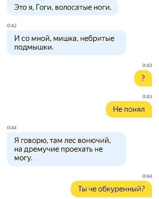 А какие ситуации у вас были в такси? О чем чатятся пассажиры с водителями такси
(16 фото)