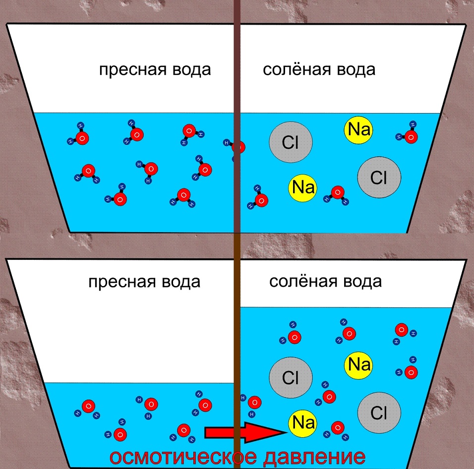 Атмосферное давление и соль - свидетельства катастрофы Атмосферное давление и соль - свидетельства катастрофы