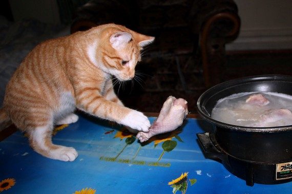 Коты, которых застали врасплох. И вовсе они не воруют, они охотятся! Коты, которых застали врасплох. И вовсе они не воруют, они охотятся!
