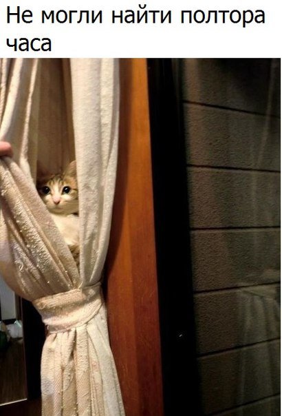 Новые фотомемы на Бугаге (27 шт) Новые фотомемы на Бугаге (27 шт)