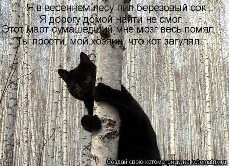 Поднимаем настроение! Весна! Поднимаем настроение! Весна!