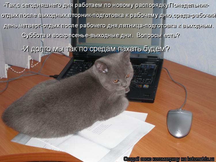 Нужно работать по новому году Нужно работать по новому году