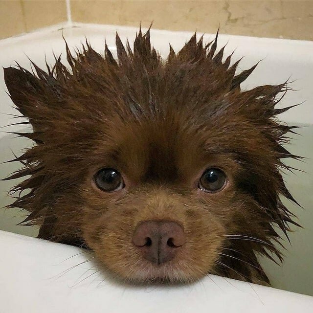 20 супер-мимимишных фотографий, которые вызовут у вас восторг