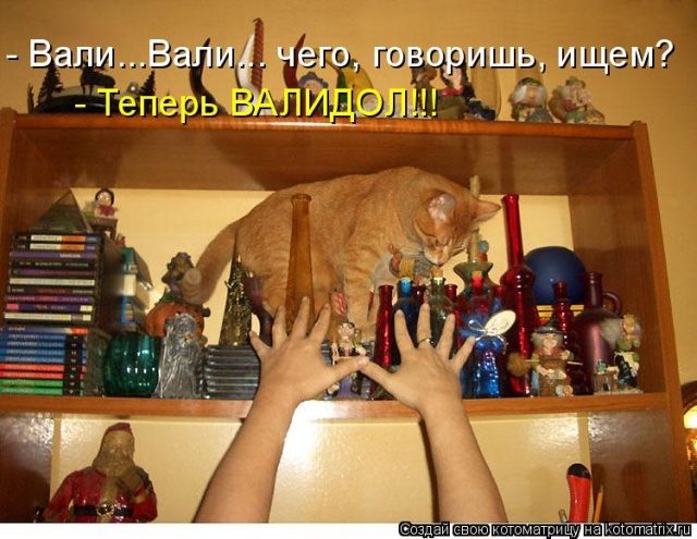 Самые смешные котоматрицы для хорошего настроения) Самые смешные котоматрицы для хорошего настроения)