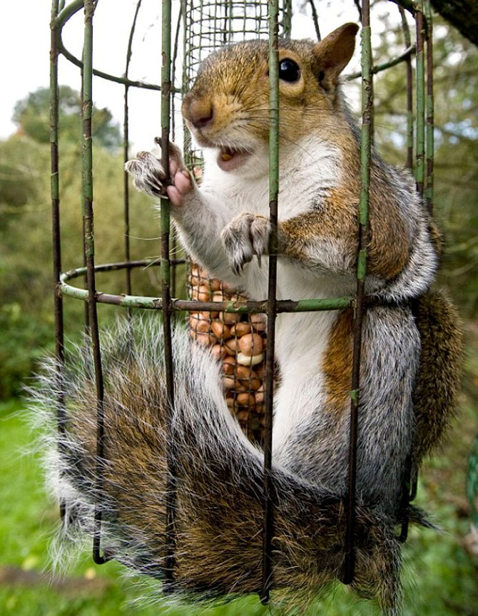 -     