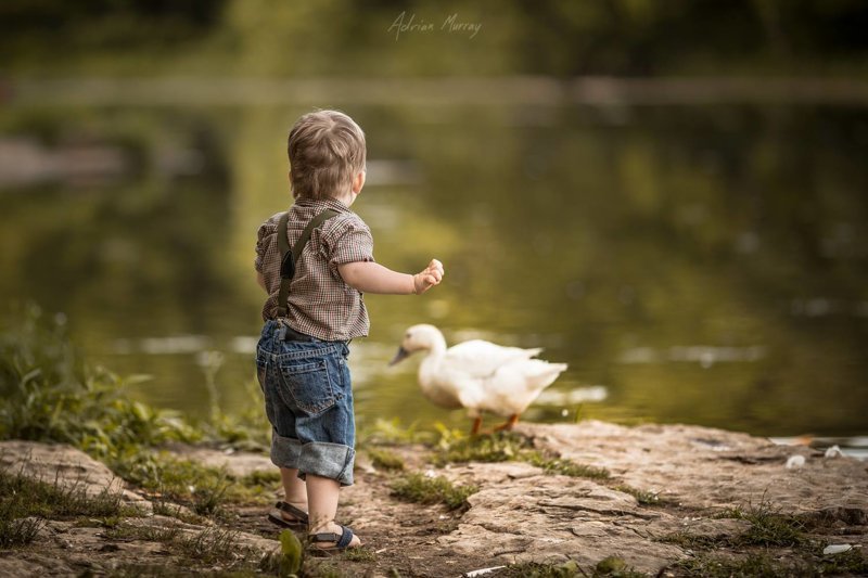 Добрый и волшебный мир детства Adrian Murray., детские фотографии, детство, фотомир