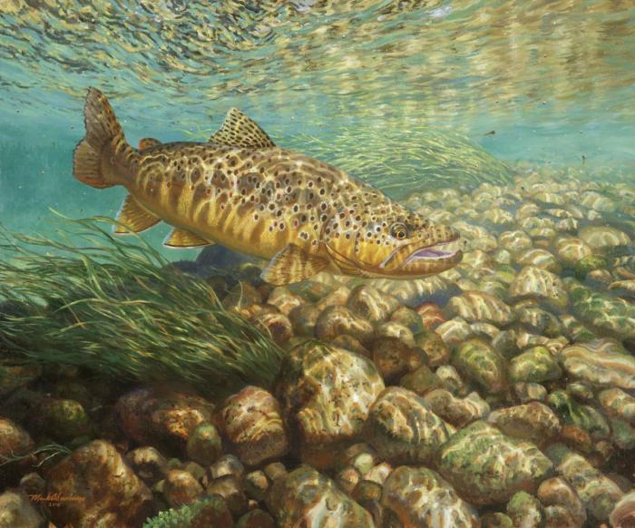Mark Susinno (Марк Сузинно), Рыбы, подводный мир Mark Susinno (Марк Сузинно), Рыбы, подводный мир