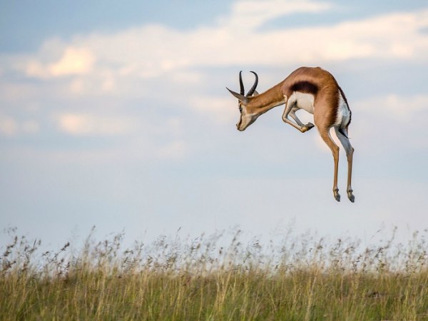 Подборка лучших снимков от National Geographic (30 фото)