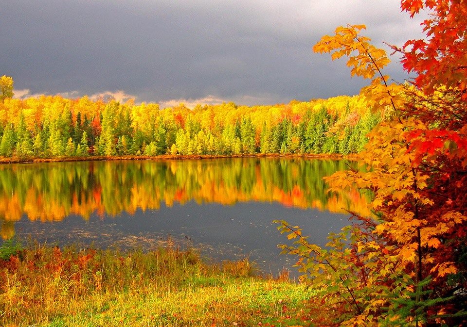 Картинки по запросу осенний лес