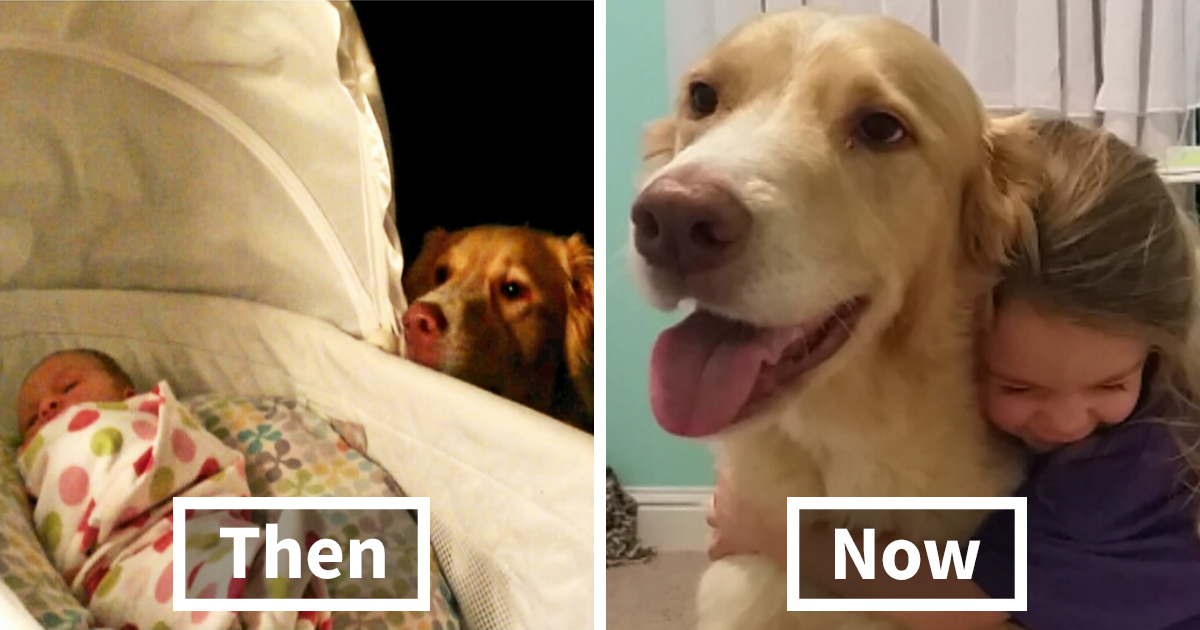 80+ Adorable Photos That Prove Your Kids Need A Dog