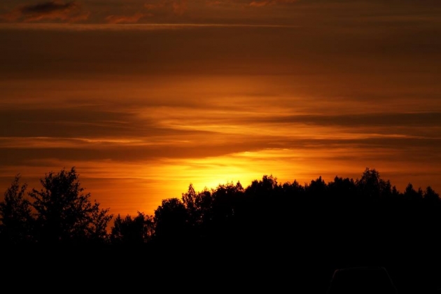 Европа беременна революцией