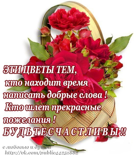 Слова поздравления и слова пожелания Слова поздравления и слова пожелания