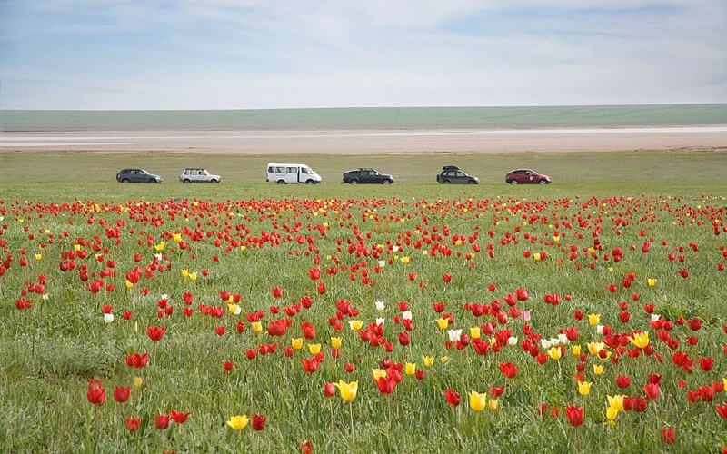 Лучший город в мире