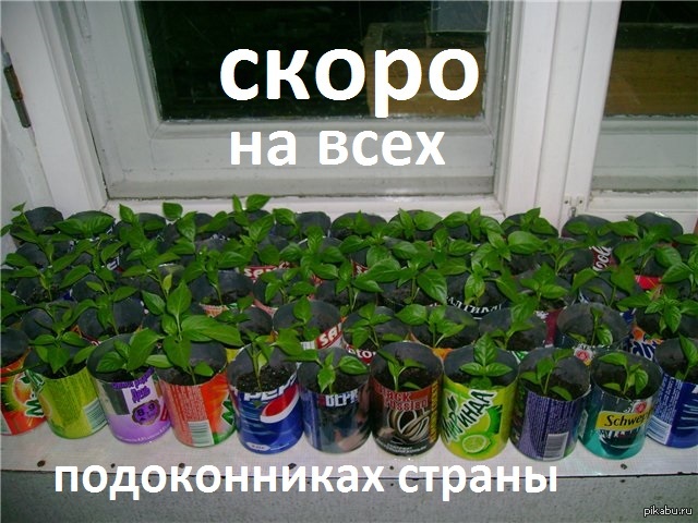Блог сайта "дачный участок".