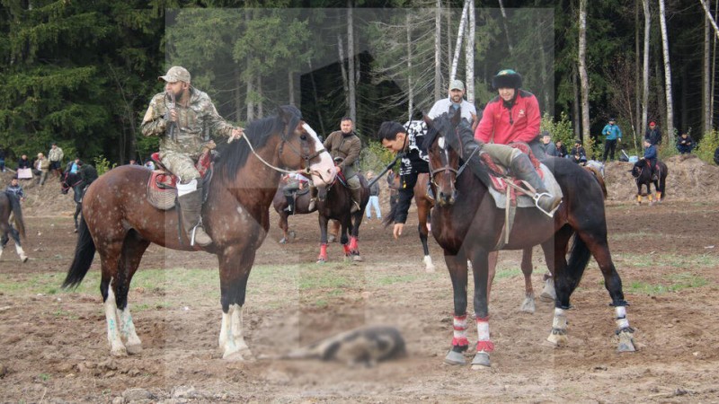 Дикие игры... Странные развлечения мигрантов в Подмосковье и стратегический порт в Туапсе