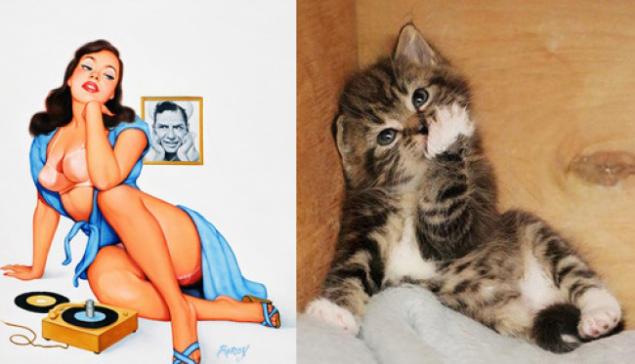 Арт-проект «Cats That Look Like Pin Up Girls» Арт-проект «Cats That Look Like Pin Up Girls»