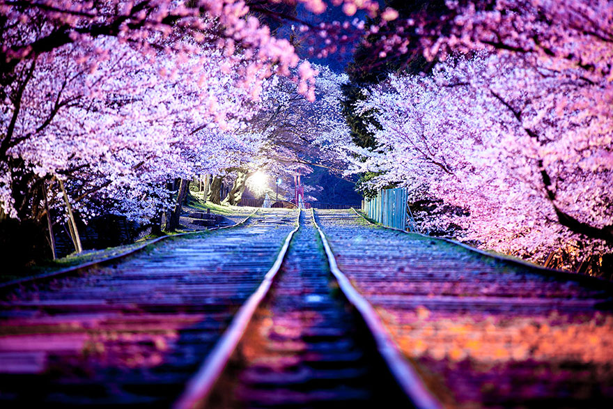 lugares-increibles-japon-5