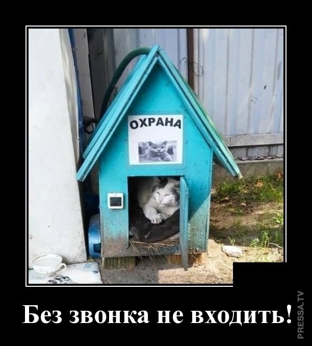 ДЕМОТИВАТОРЫ+ ДЕМОТИВАТОРЫ+