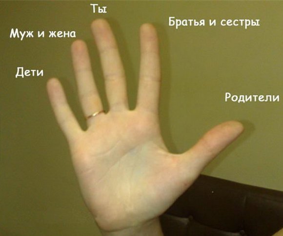 ТЕСТ НА ПАЛЬЦАХ РУК ТЕСТ НА ПАЛЬЦАХ РУК