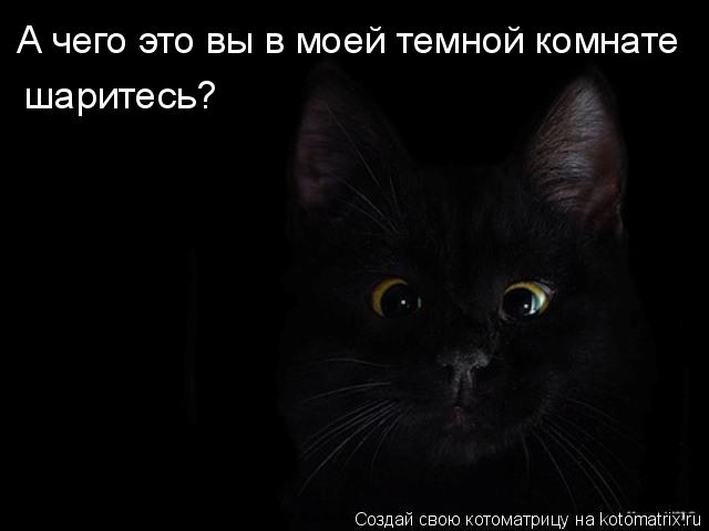 Котоматрица 38 (640x480, 22Kb)