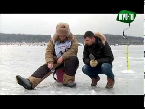 видео клева поют видео клева поют