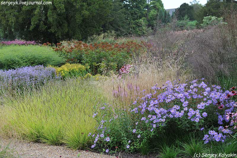 Trantham Gardens 145.JPG Trantham Gardens 145.JPG