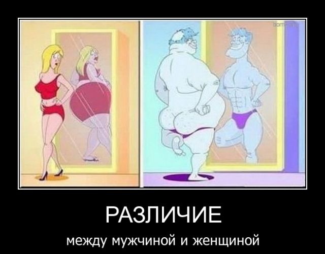Мудрые афоризмы :))) Мудрые афоризмы :)))
