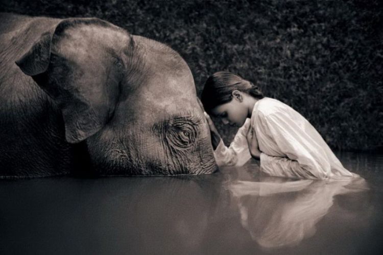 Люди и животные в фотографиях Gregory Colbert