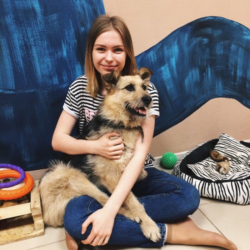 Худая собака без лапы месяцами скиталась по городу Худая собака без лапы месяцами скиталась по городу инвалид, лапа, собака, терьер