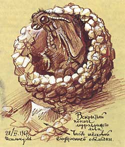 14 ГРЕБЕННИКОВ 14 ГРЕБЕННИКОВ