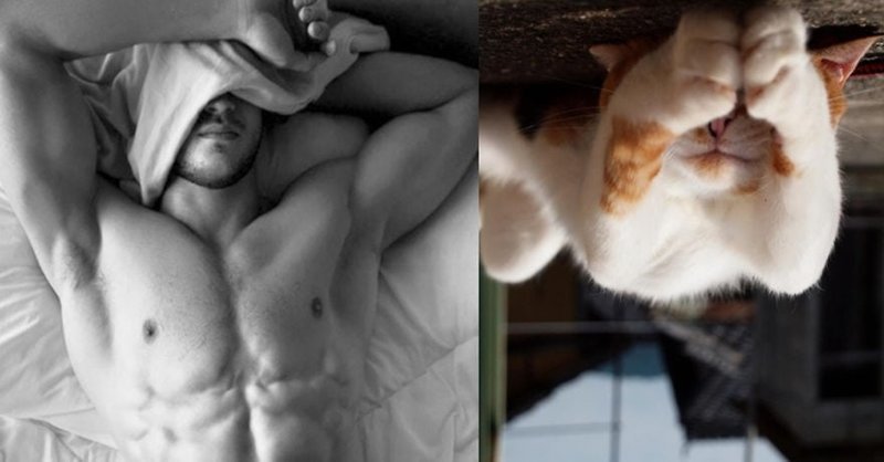20 забавных коллажей, на которых наглядно видно, что у котов и красивых мужчин есть что-то общее 20 забавных коллажей, на которых наглядно видно, что у котов и красивых мужчин есть что-то общее животные, кот, кошки, мужчина, поза, прикол, юмор