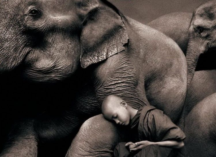 Люди и животные в фотографиях Gregory Colbert